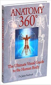 Anatomy The Ultimate Visual Guide To The Human Body Pdf