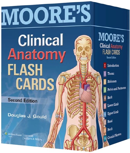 Moore's Clinical Anatomy Flash Cards 2nd Edition PDF