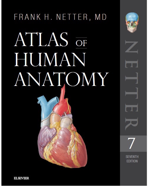 Netter's Atlas of Human Anatomy 7th Edition PDF