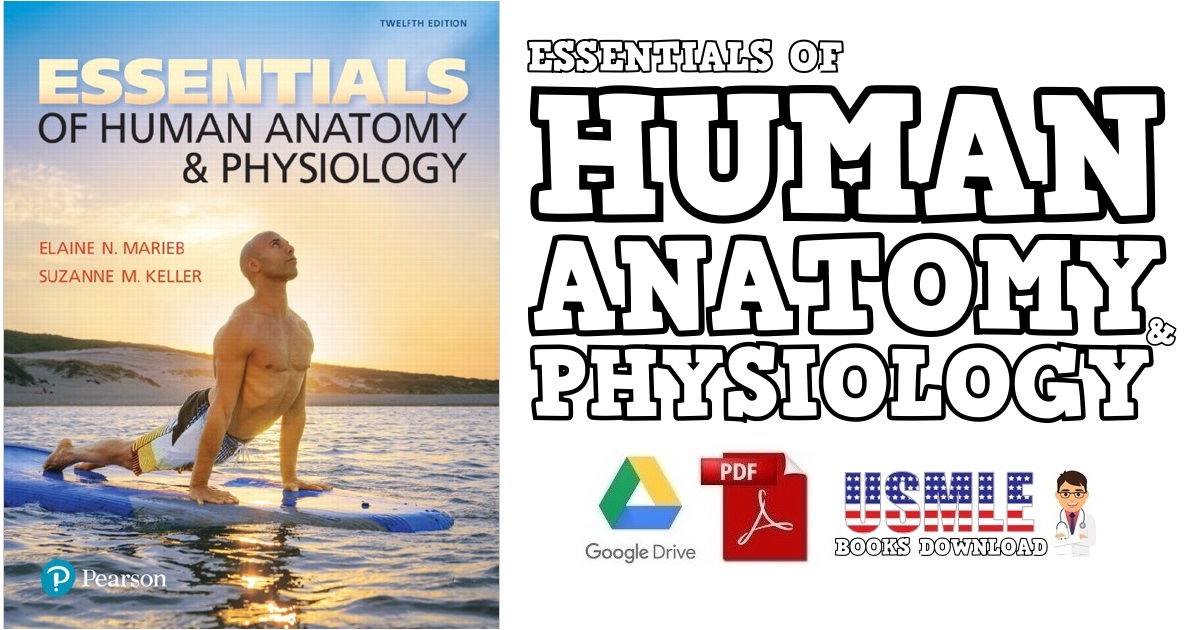 Essentials of Human Anatomy & Physiology PDF