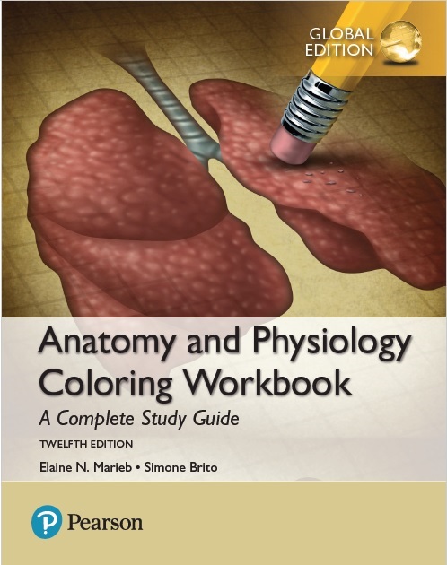Anatomy and Physiology Coloring Workbook PDF 