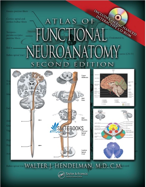Atlas of Functional Neuroanatomy 2nd Edition PDF
