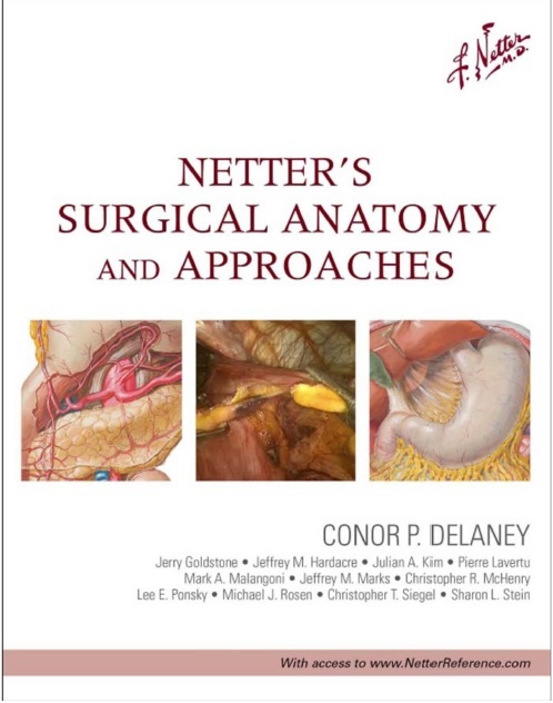 Netter's Surgical Anatomy and Approaches 1st Edition PDF