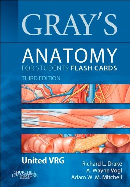 Gray’s Anatomy for Students Flash Cards 3rd Edition PDF 