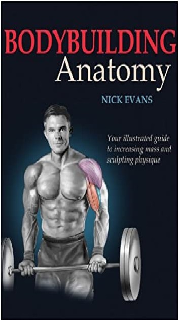 Bodybuilding Anatomy 1st Edition PDF