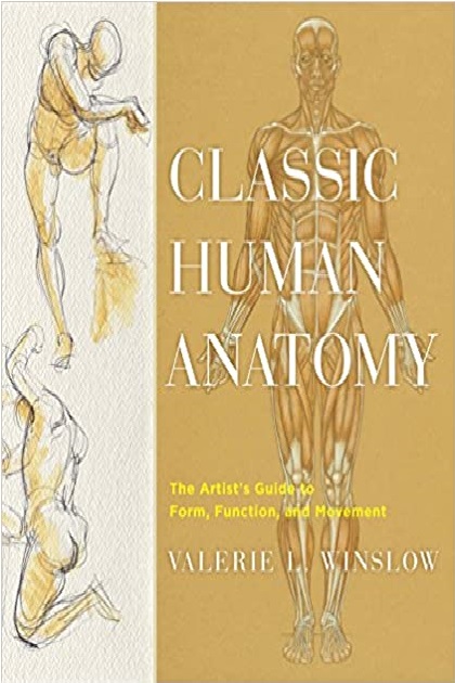 Classic Human Anatomy The Artist's Guide to Form, Function, and Movement PDF