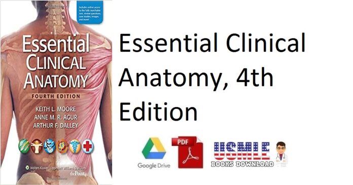 Essential Clinical Anatomy, 4th Edition PDF Free Download