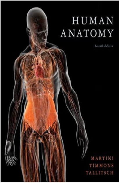 Human Anatomy 7th Edition PDF