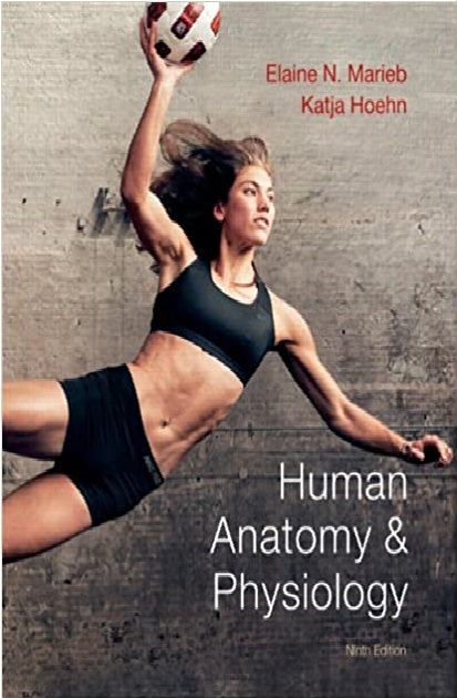 Human Anatomy & Physiology 9th Edition PDF