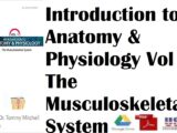 Introduction to Anatomy & Physiology Vol 1 The Musculoskeletal System PDF Free Download