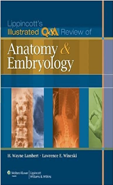 Lippincott's Illustrated Q&A Review of Anatomy and Embryology PDF