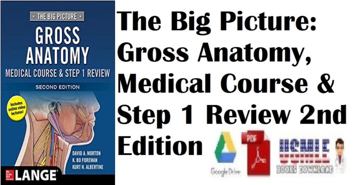 The Big Picture Gross Anatomy, Medical Course & Step 1 Review 2nd Edition PDF Free Download