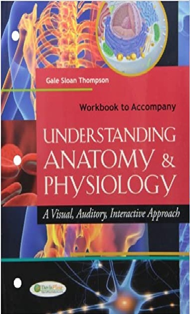 Understanding Anatomy and Physiology A Visual, Auditory, Interactive Approach 1st Edition PDF