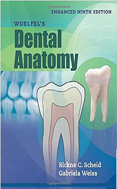 Woelfels Dental Anatomy 9th Edition PDF