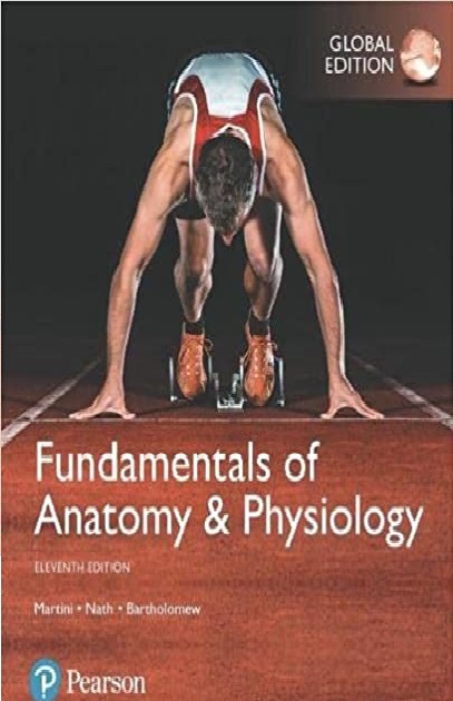 fundamentals of anatomy & physiology 11th Edition PDF