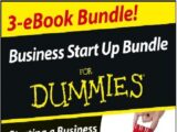 Business Start Up For Dummies Three e-book Bundle PDF
