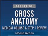 Gross Anatomy, Medical Course & Step 1 Review 2nd Edition PDF