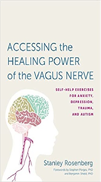 Accessing the Healing Power of the Vagus Nerve: Self-Help Exercises for Anxiety, Depression, Trauma, & Autism PDF