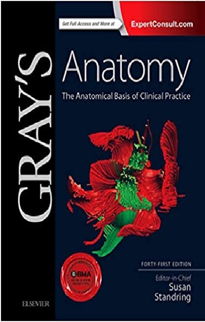 Gray's Anatomy: The Anatomical Basis of Clinical Practice 41st Edition PDF