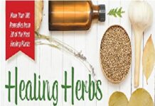 Healing Herbs: A Beginner's Guide to Identifying, Foraging and Using Medicinal Plants PDF