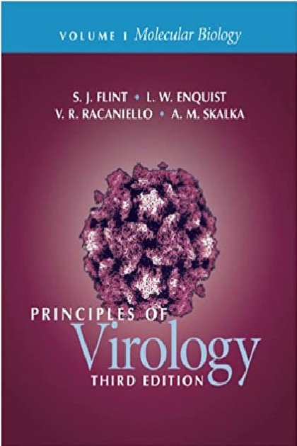Principles of Virology, Vol. 1: Molecular Biology 3rd Edition PDF