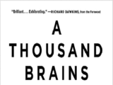 A Thousand Brains: A New Theory of Intelligence PDF